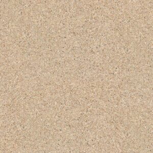 Vicostone Champagne BQ2030
