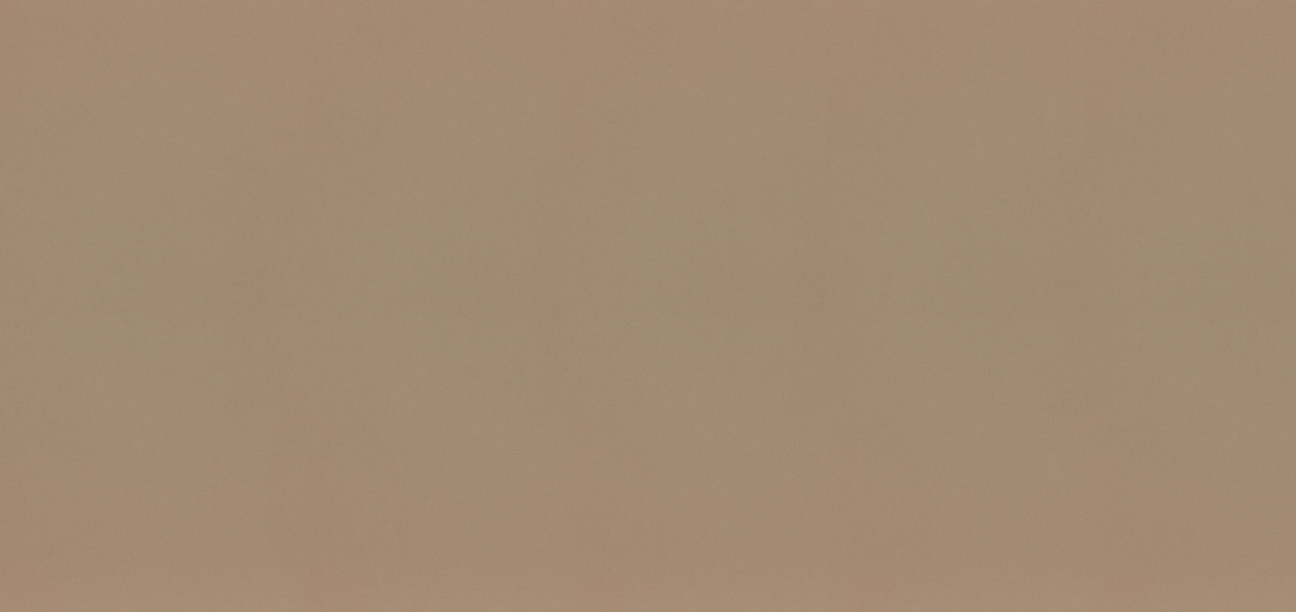 Vicostone Camellia BS4010